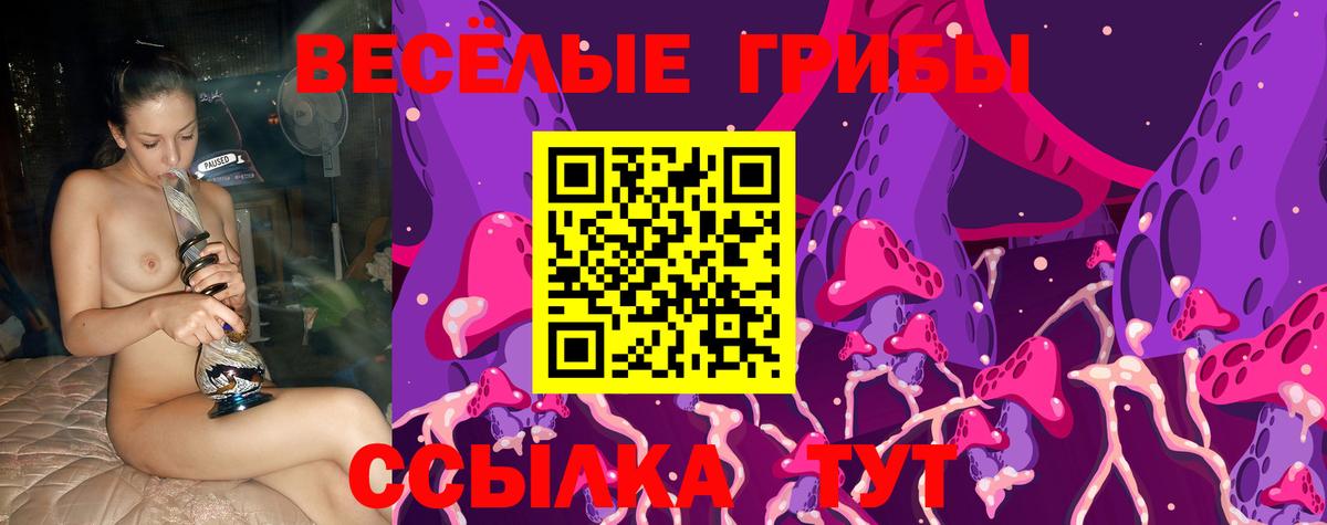 Санкт-Петербург  Псилоцибиновые грибы GOLDEN TEACHER  Вход с VPN 